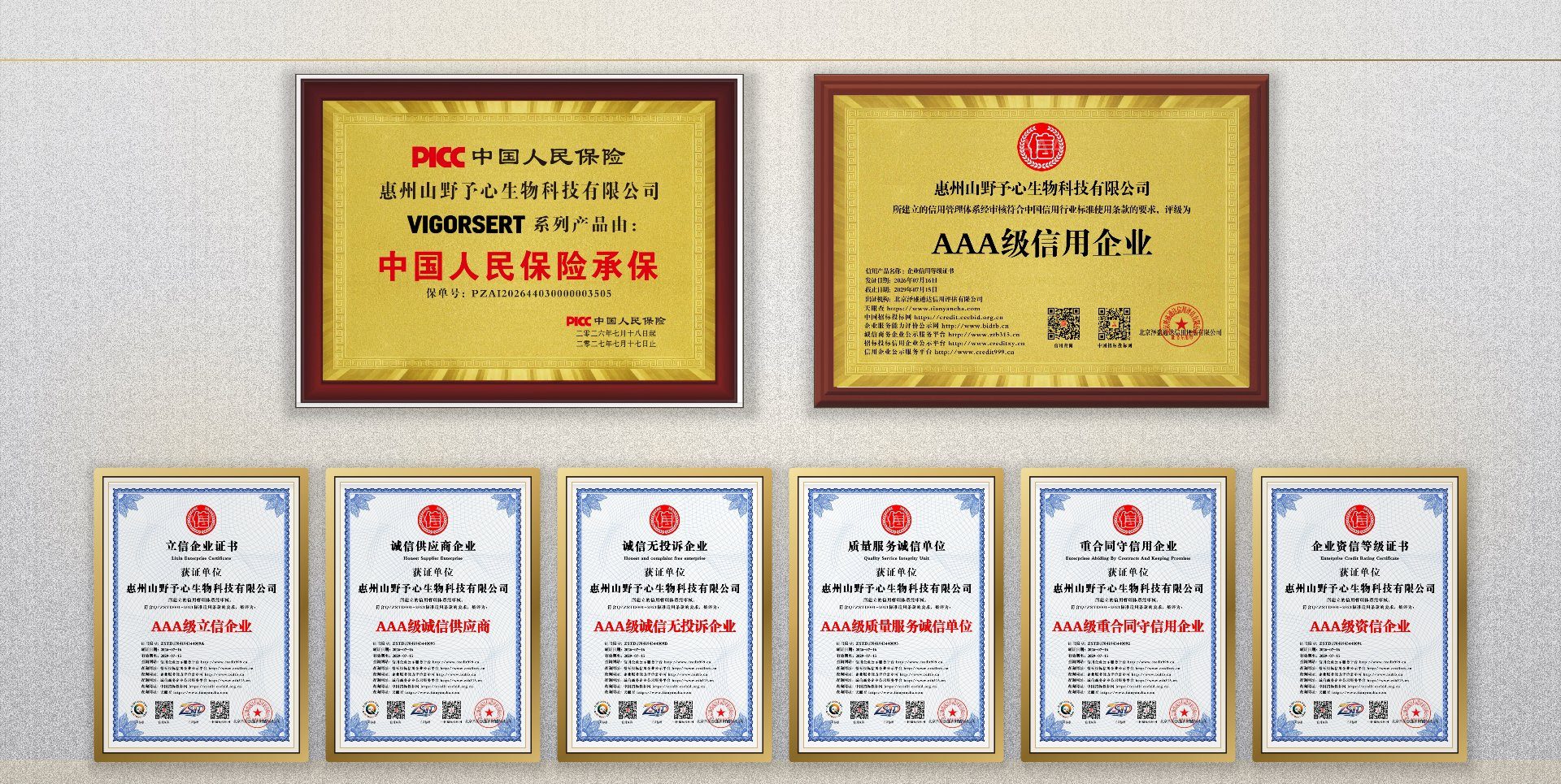 公司介绍 2